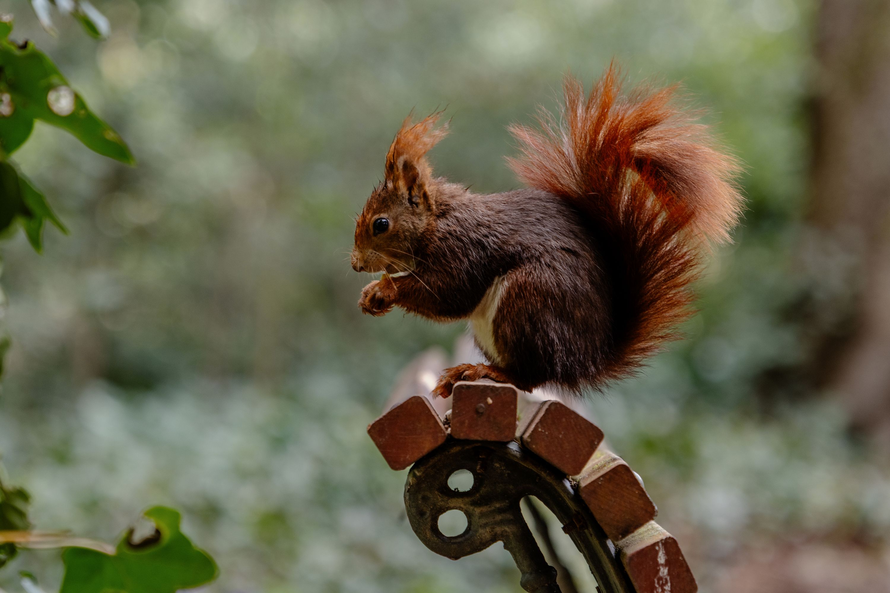 3 Campo Grande marzo 2026 1-08032026-9P3A3548